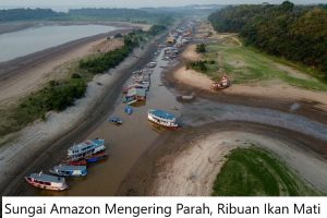 Sungai Amazon Mengering 