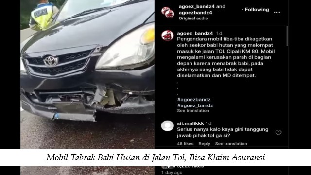 Mobil Tabrak Babi Hutan di Jalan Tol, Bisa Klaim Asuransi